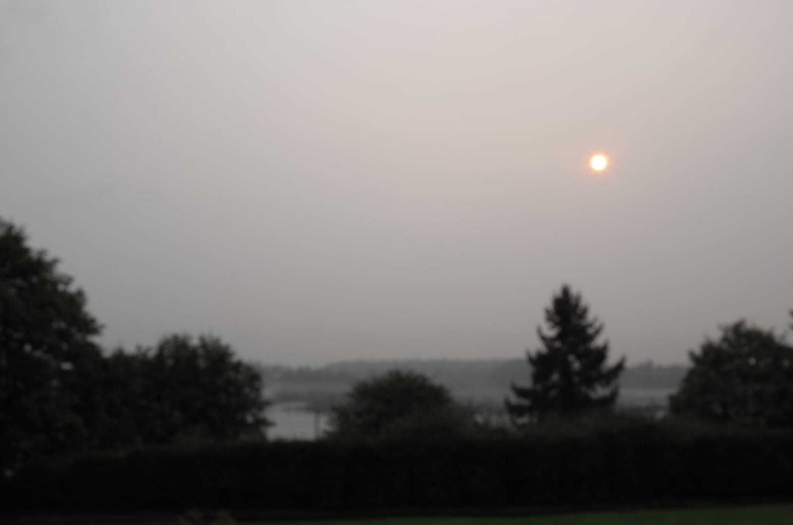 Olympic Peninsula, bank 1, frame 5 of 55