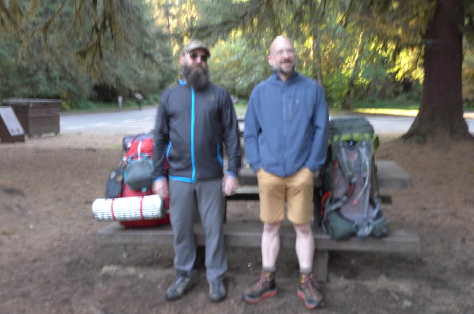 Olympic Peninsula, bank 1, frame 8 of 55