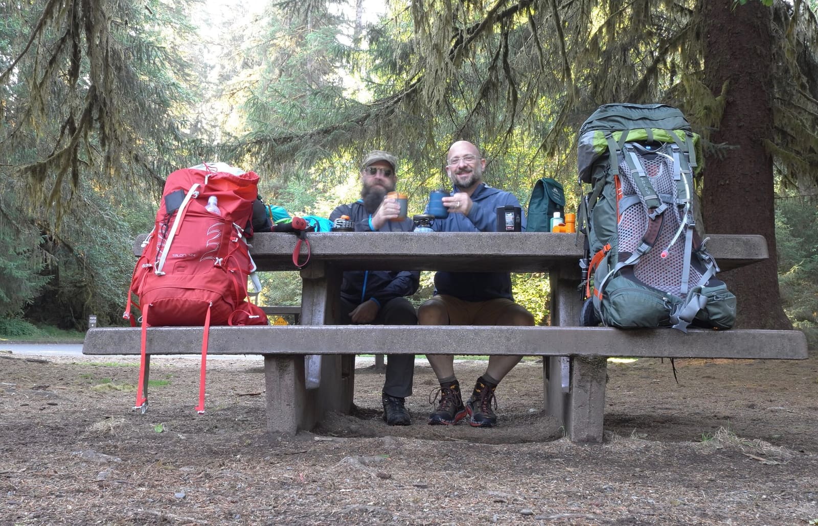 Olympic Peninsula, bank 1, frame 10 of 55