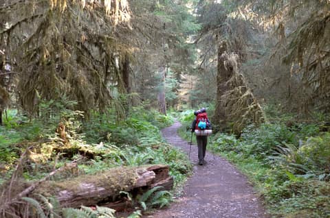 Olympic Peninsula, bank 1, frame 14 of 55