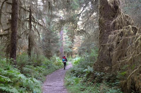Olympic Peninsula, bank 1, frame 15 of 55