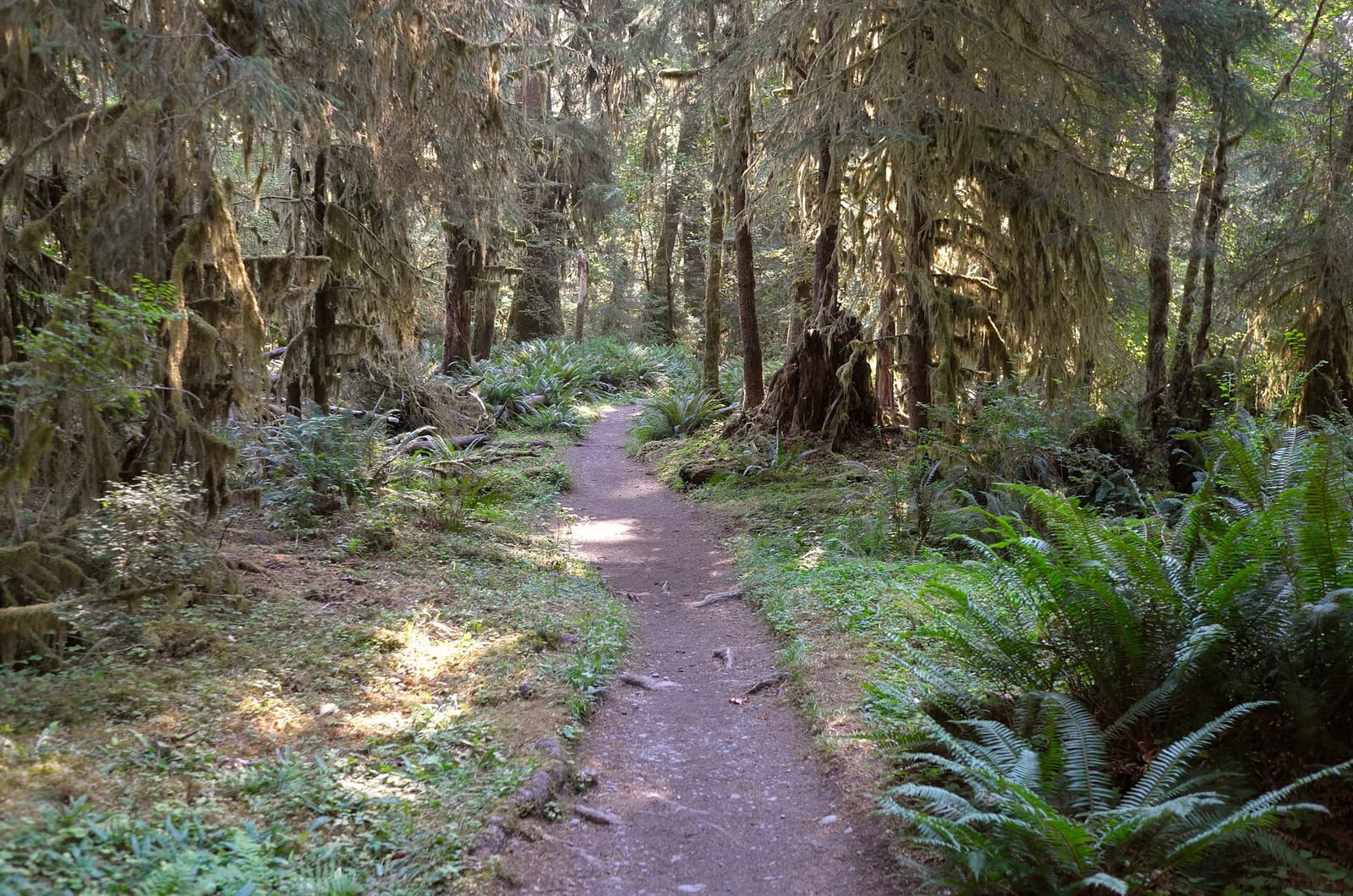 Olympic Peninsula, bank 1, frame 18 of 55