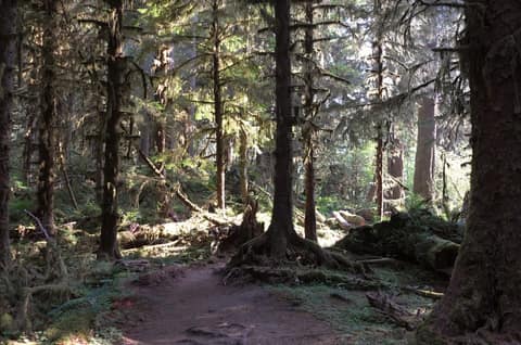 Olympic Peninsula, bank 1, frame 19 of 55