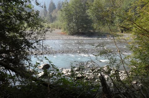 Olympic Peninsula, bank 1, frame 21 of 55