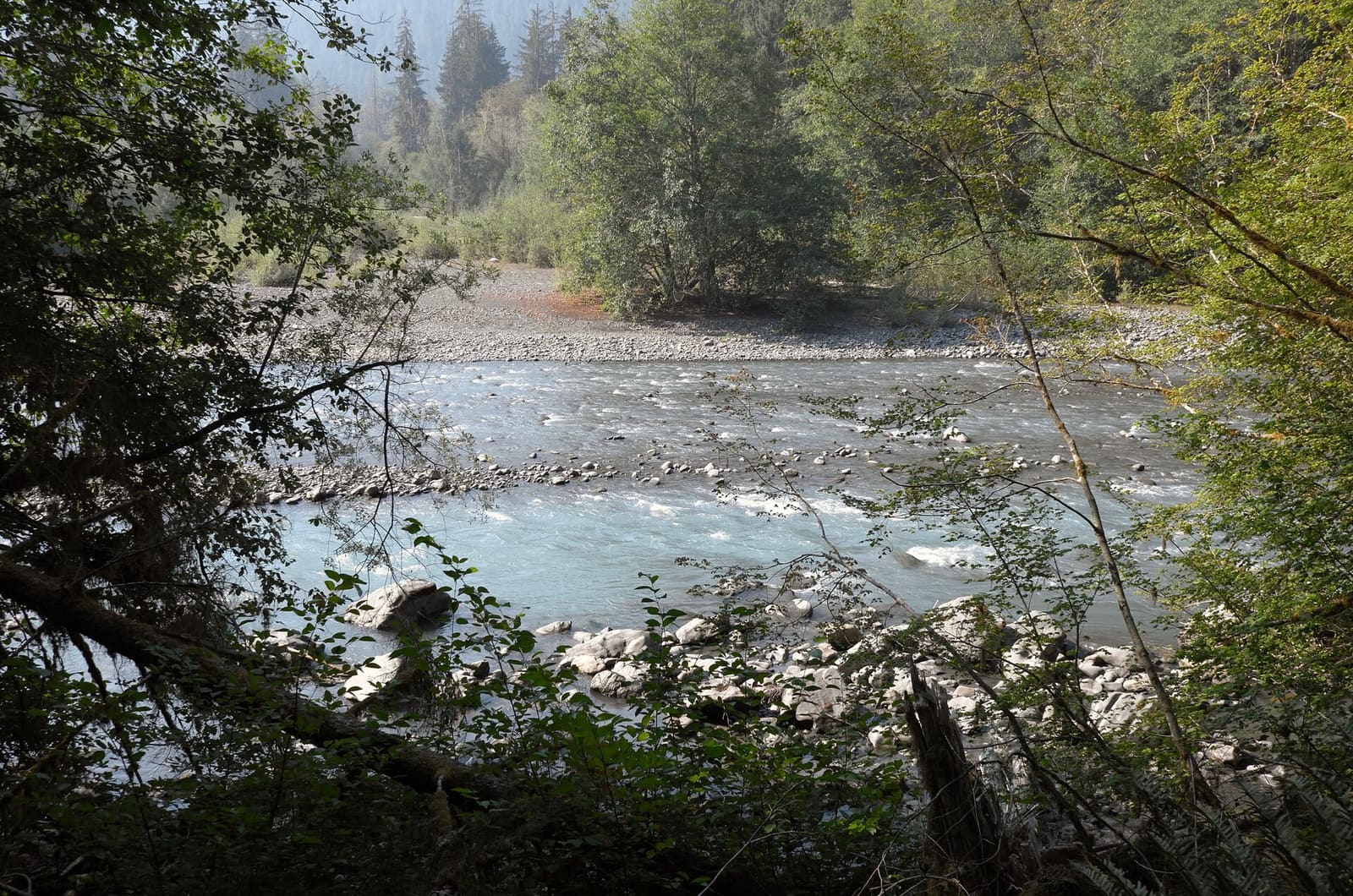 Olympic Peninsula, bank 1, frame 21 of 55