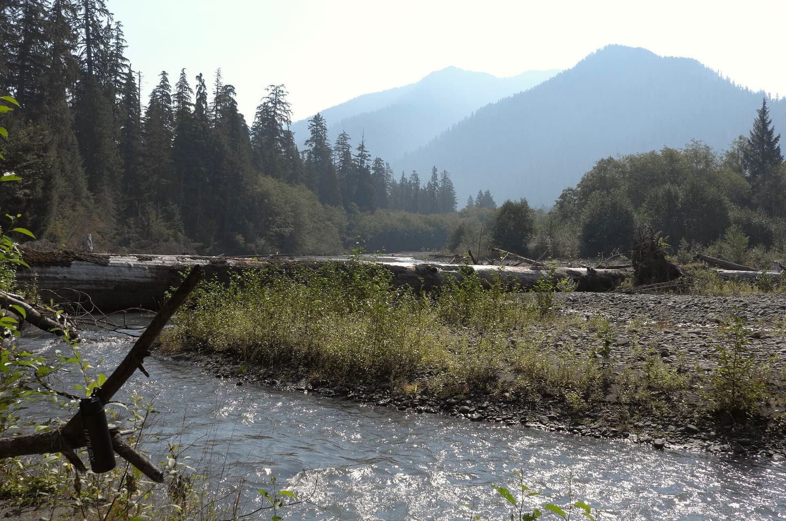 Olympic Peninsula, bank 1, frame 22 of 55