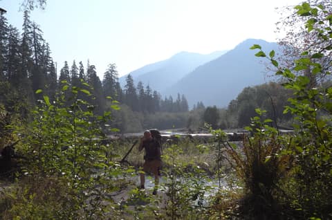 Olympic Peninsula, bank 1, frame 24 of 55
