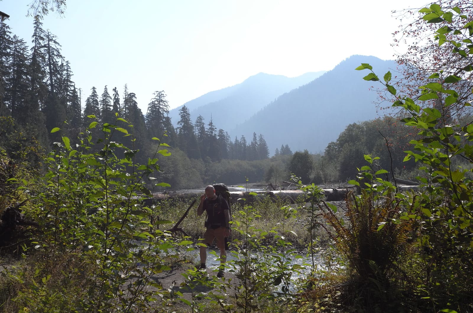 Olympic Peninsula, bank 1, frame 24 of 55