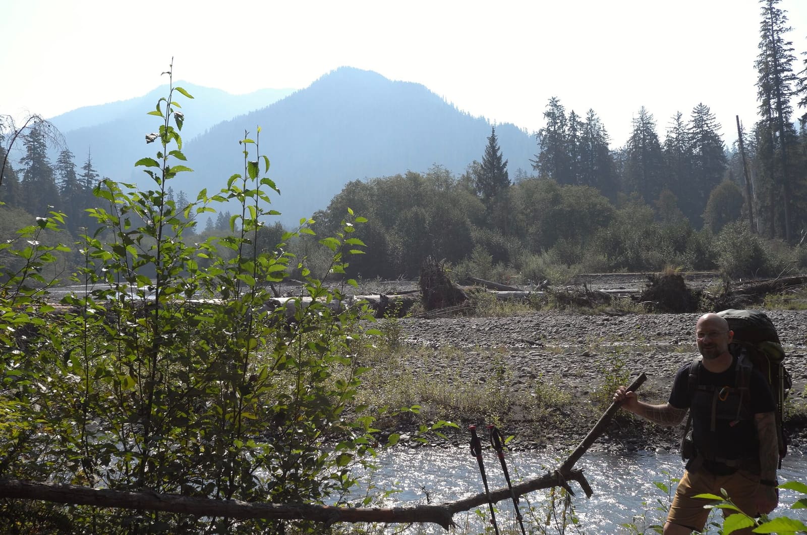 Olympic Peninsula, bank 1, frame 25 of 55