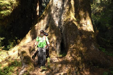 Olympic Peninsula, bank 1, frame 28 of 55