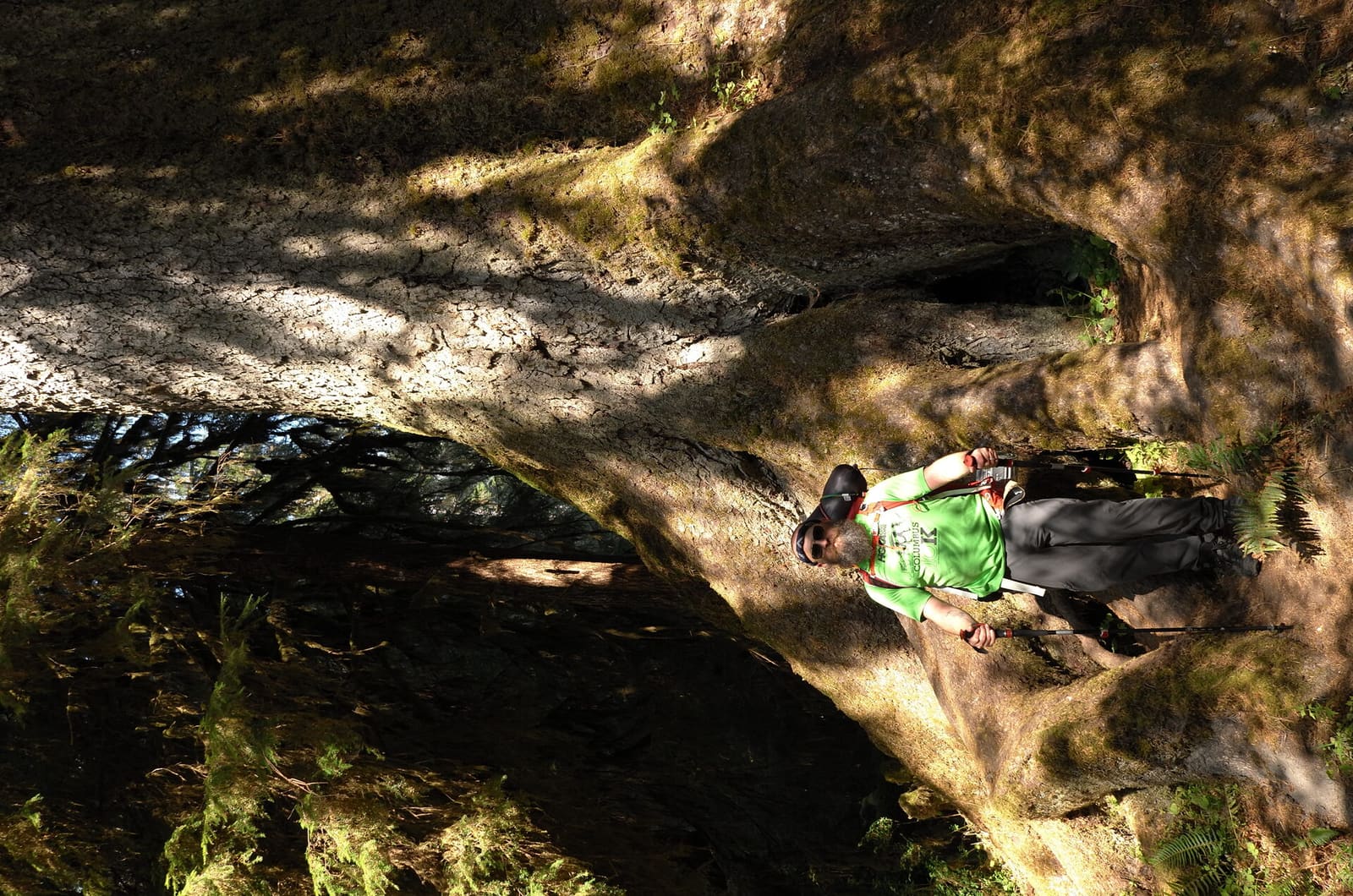 Olympic Peninsula, bank 1, frame 29 of 55