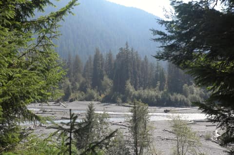 Olympic Peninsula, bank 1, frame 33 of 55
