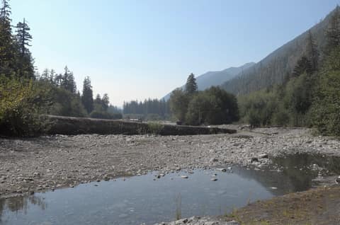 Olympic Peninsula, bank 1, frame 34 of 55