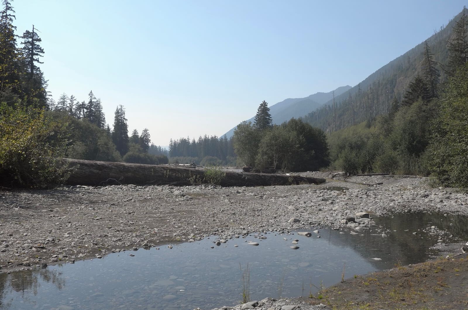 Olympic Peninsula, bank 1, frame 34 of 55