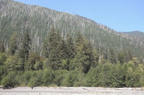 Olympic Peninsula, bank 1, frame 35 of 55
