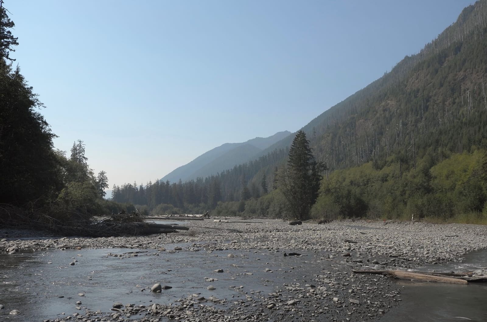Olympic Peninsula, bank 1, frame 36 of 55