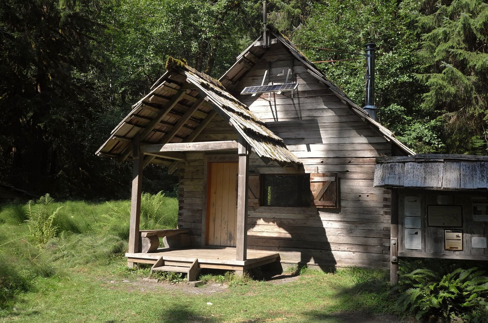 Olympic Peninsula, bank 1, frame 37 of 55