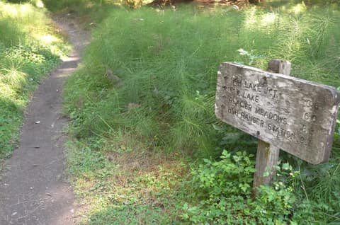 Olympic Peninsula, bank 1, frame 39 of 55