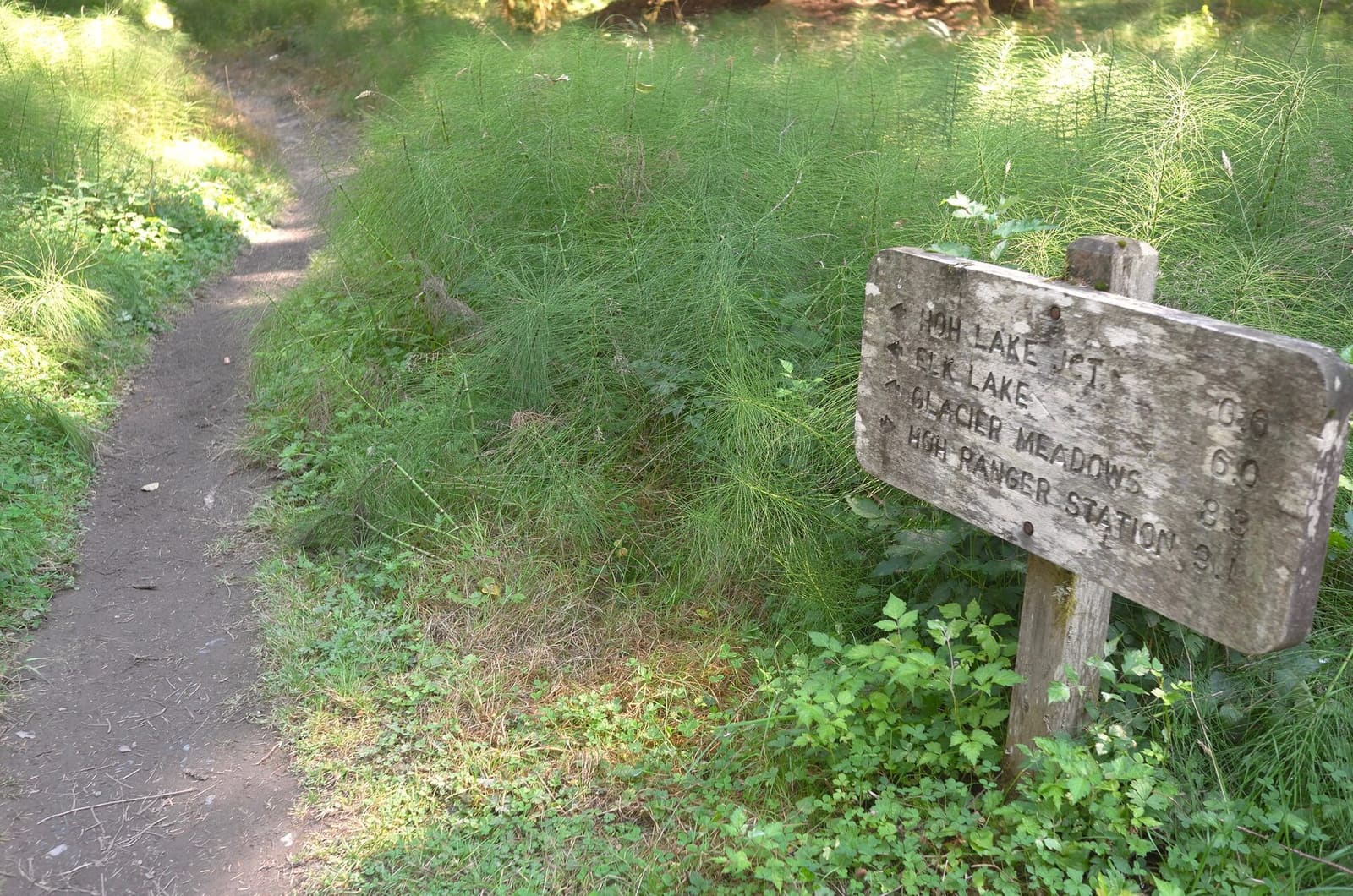 Olympic Peninsula, bank 1, frame 39 of 55