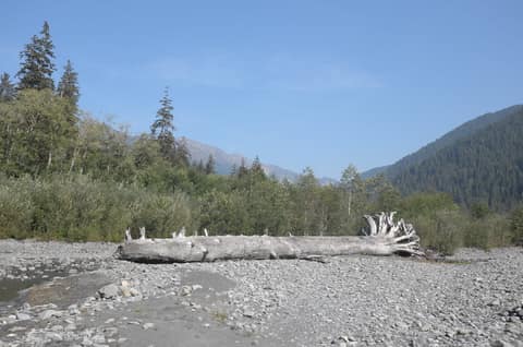 Olympic Peninsula, bank 1, frame 43 of 55