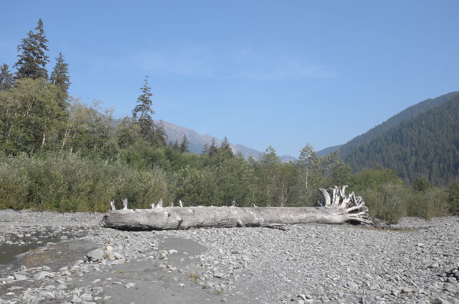 Olympic Peninsula, bank 1, frame 43 of 55