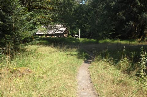 Olympic Peninsula, bank 1, frame 45 of 55