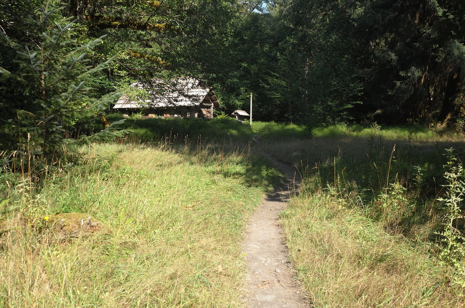 Olympic Peninsula, bank 1, frame 45 of 55
