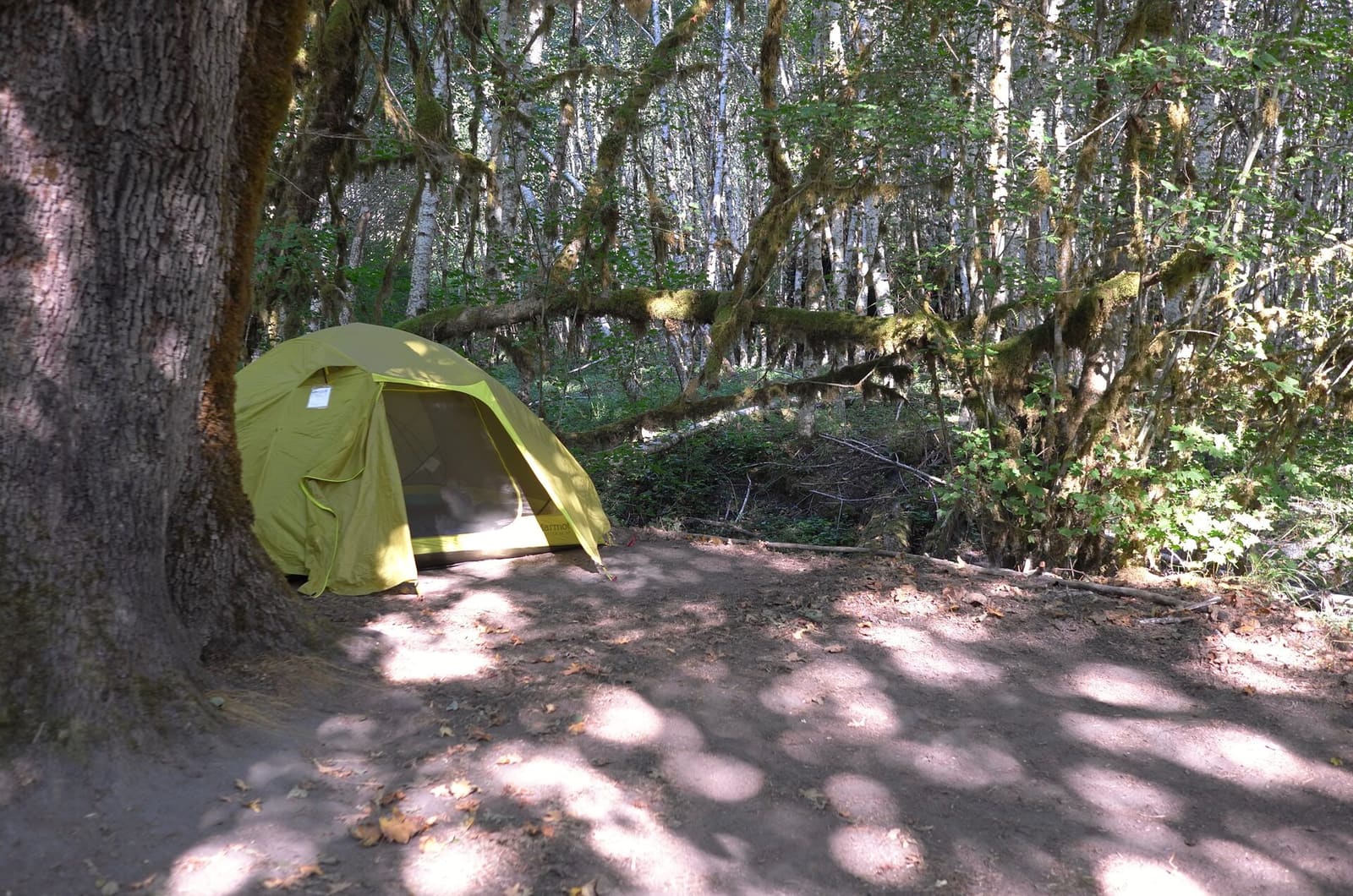 Olympic Peninsula, bank 1, frame 46 of 55