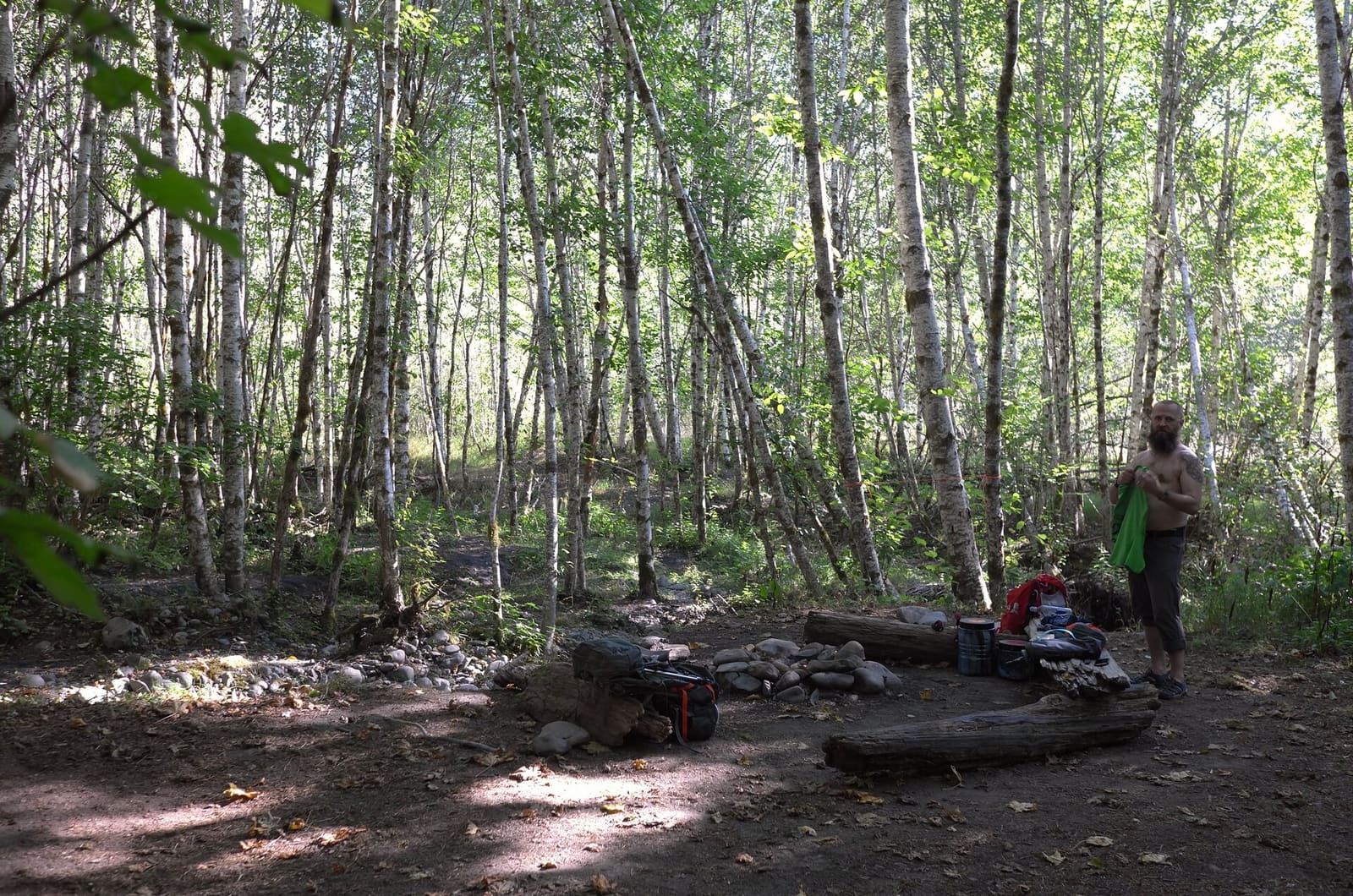 Olympic Peninsula, bank 1, frame 48 of 55