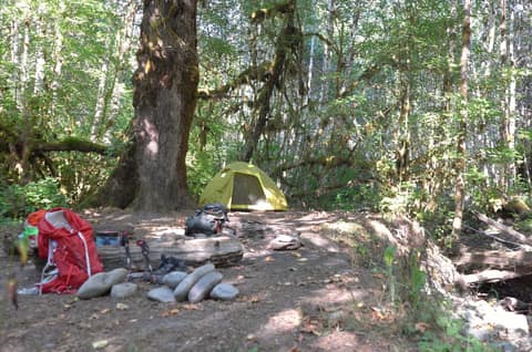Olympic Peninsula, bank 1, frame 49 of 55