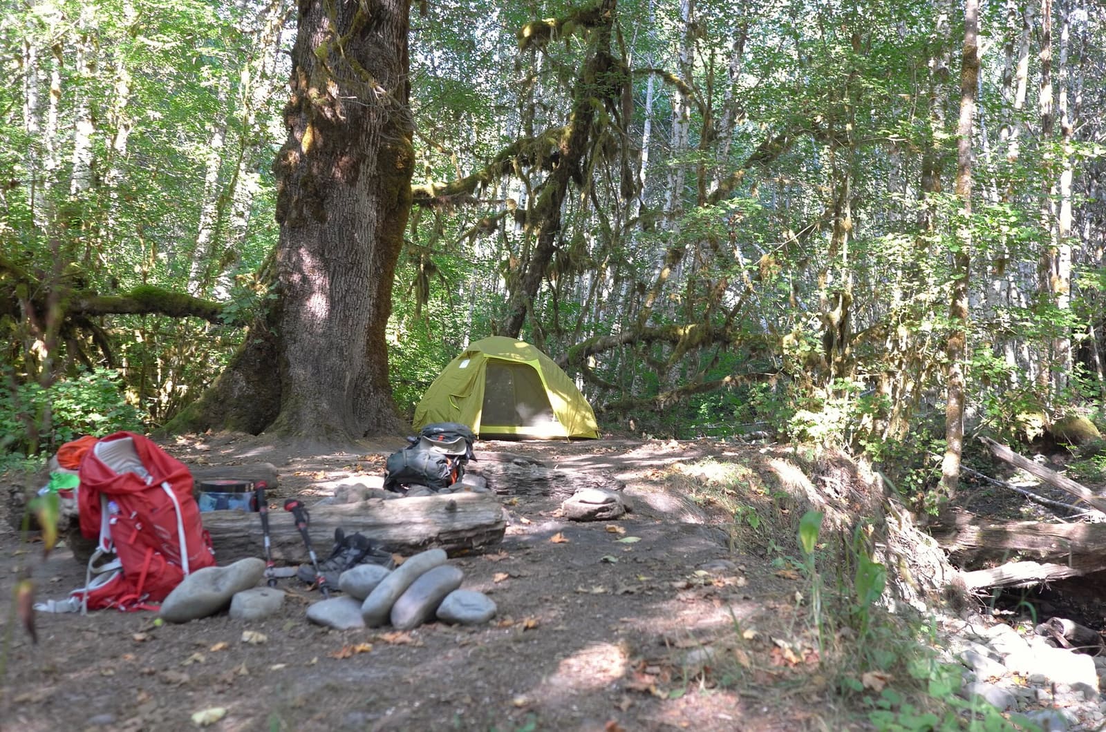 Olympic Peninsula, bank 1, frame 49 of 55