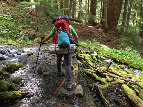 Olympic Peninsula, bank 2, frame 3 of 70