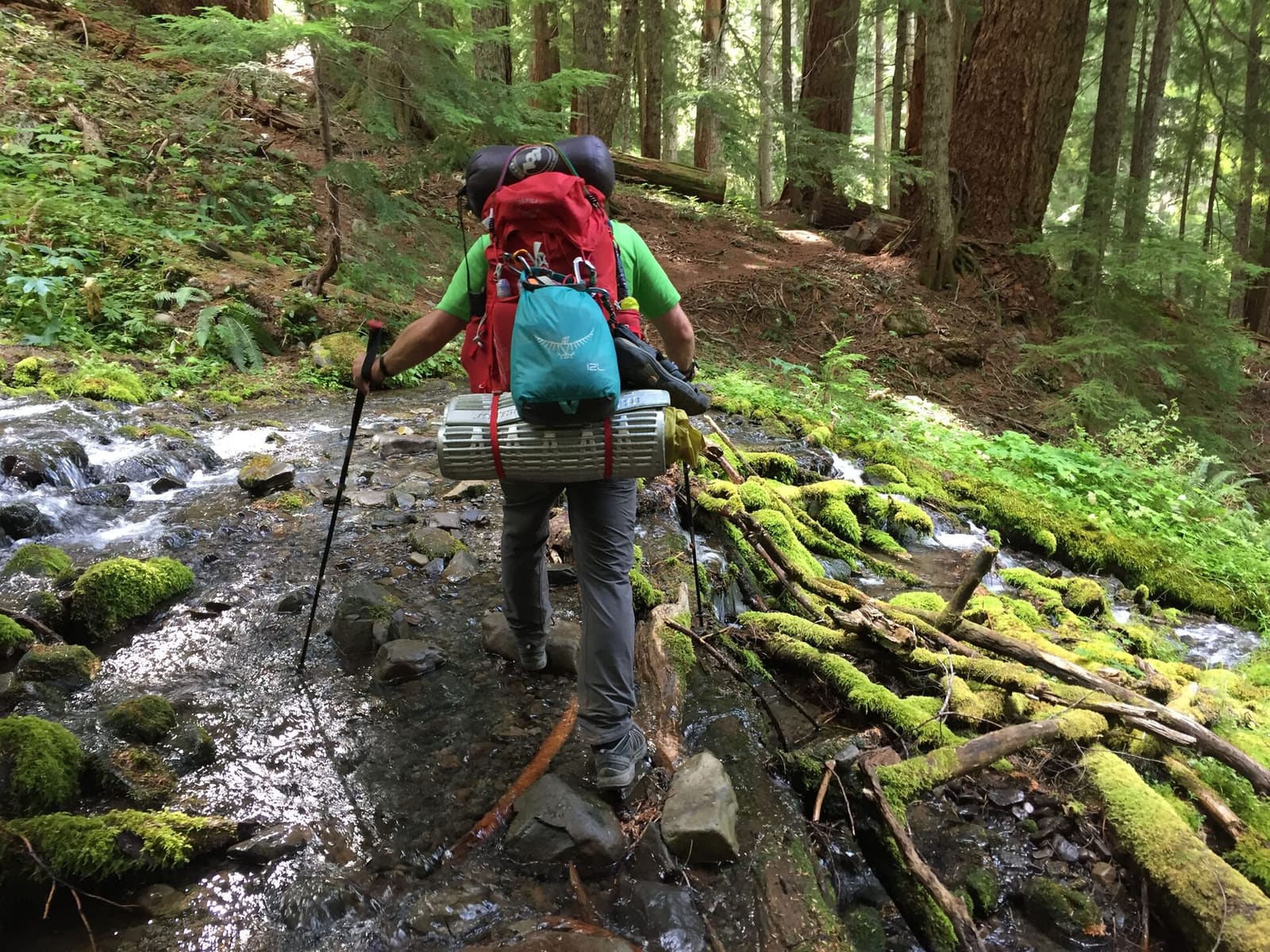 Olympic Peninsula, bank 2, frame 3 of 70
