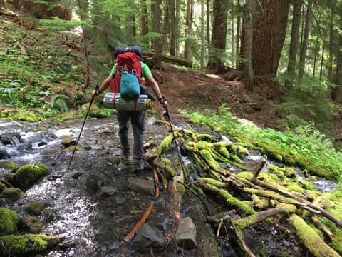 Olympic Peninsula, bank 2, frame 4 of 70