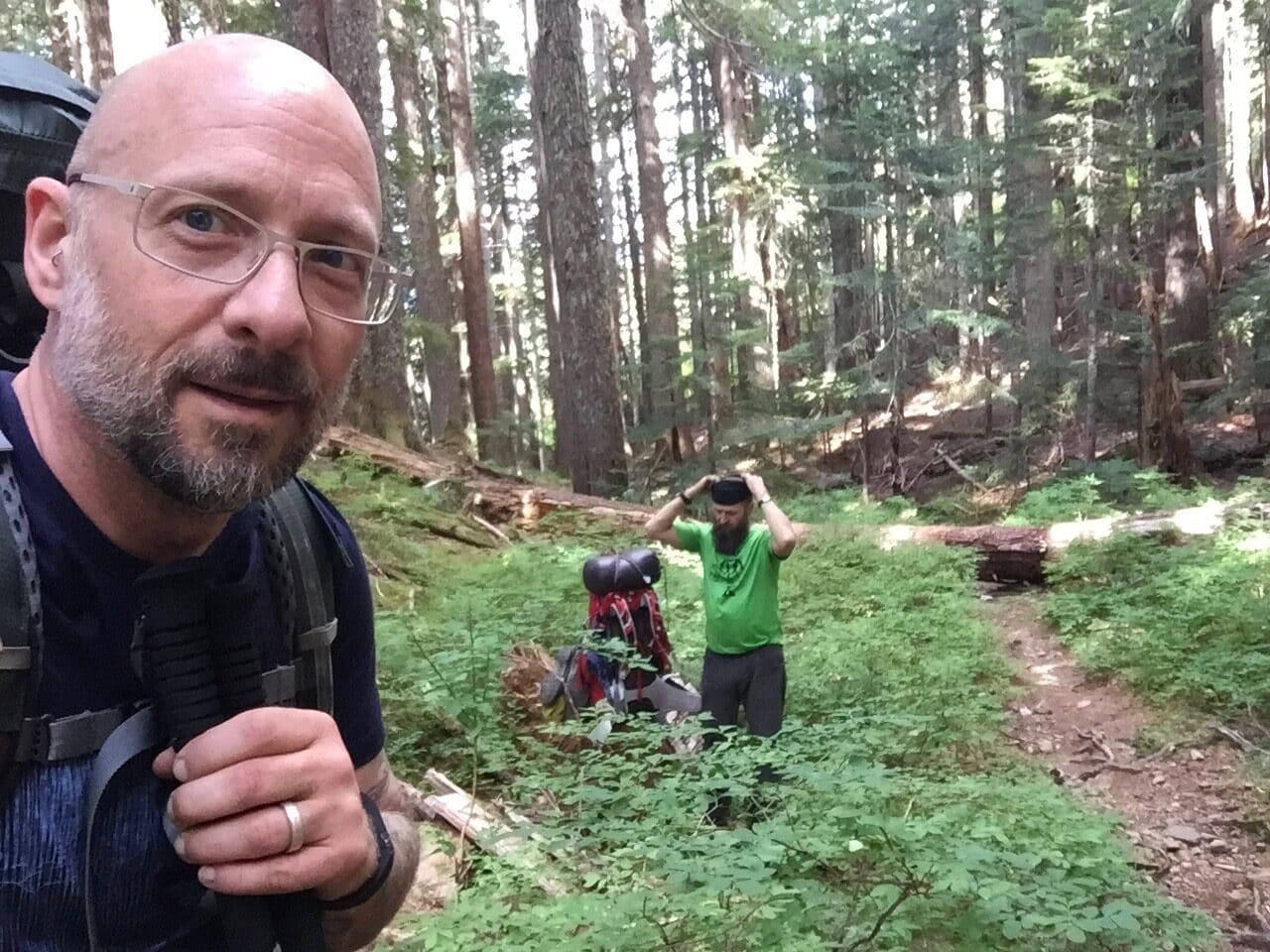 Olympic Peninsula, bank 2, frame 6 of 70