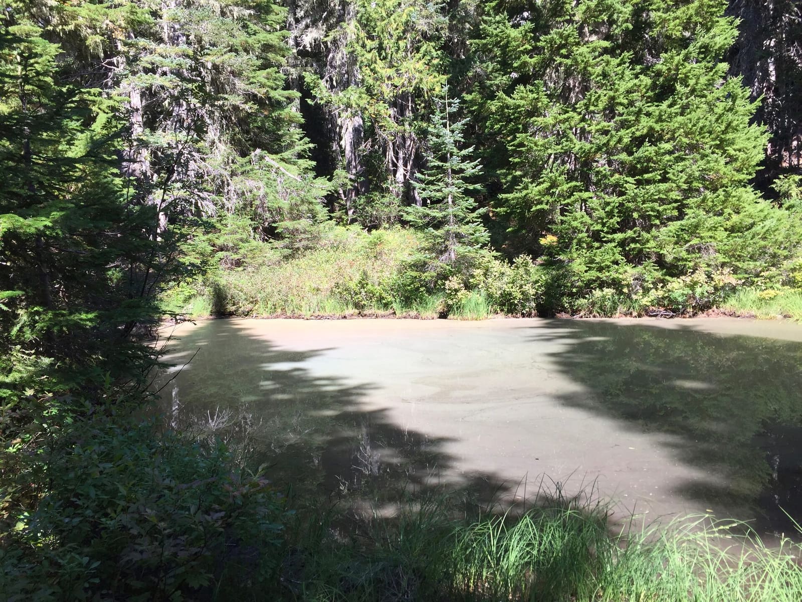 Olympic Peninsula, bank 2, frame 8 of 70