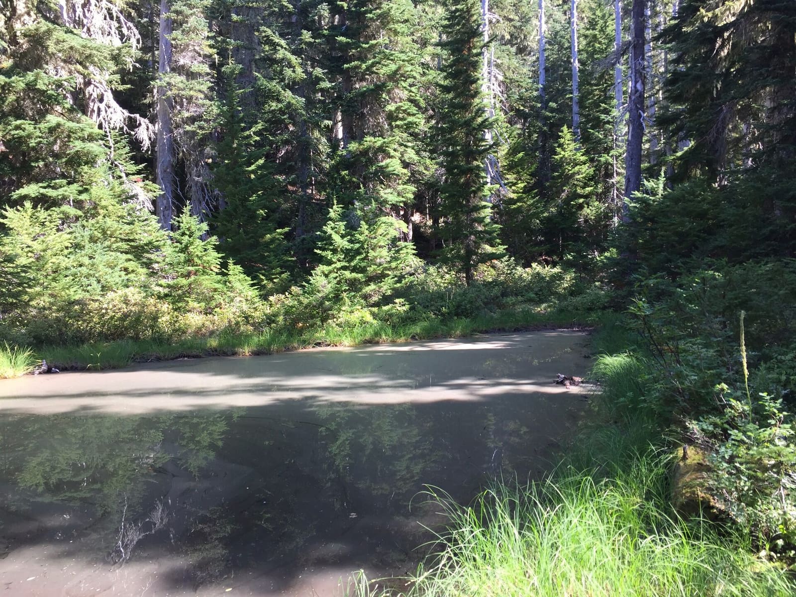 Olympic Peninsula, bank 2, frame 9 of 70