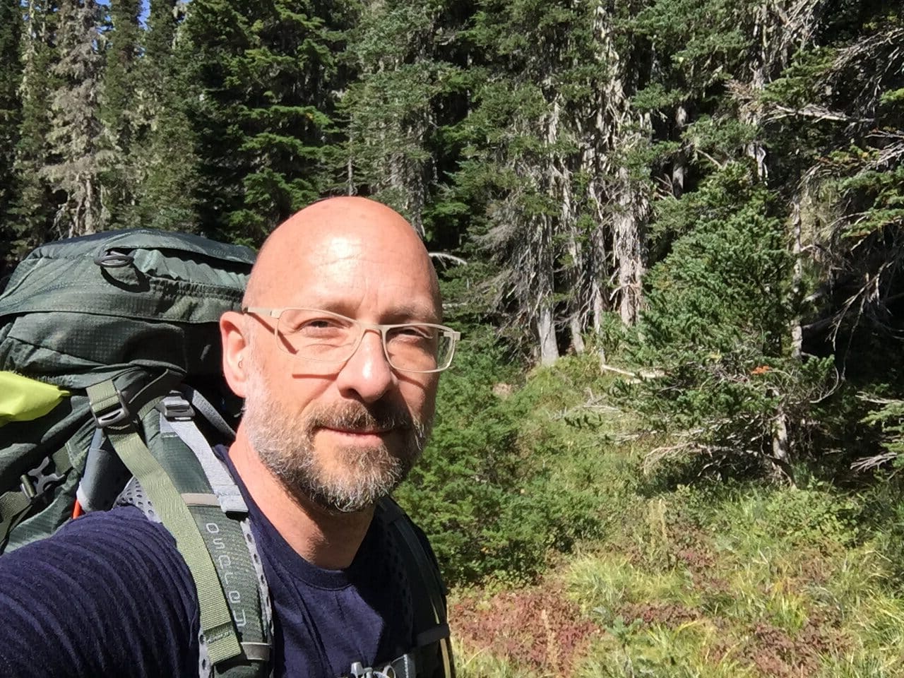 Olympic Peninsula, bank 2, frame 11 of 70