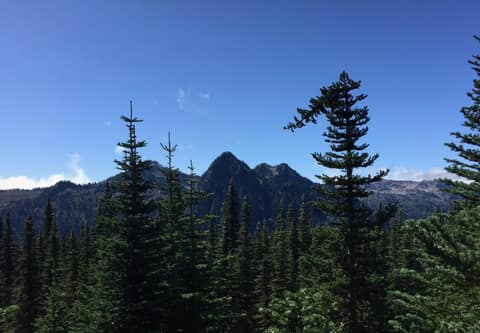 Olympic Peninsula, bank 2, frame 12 of 70