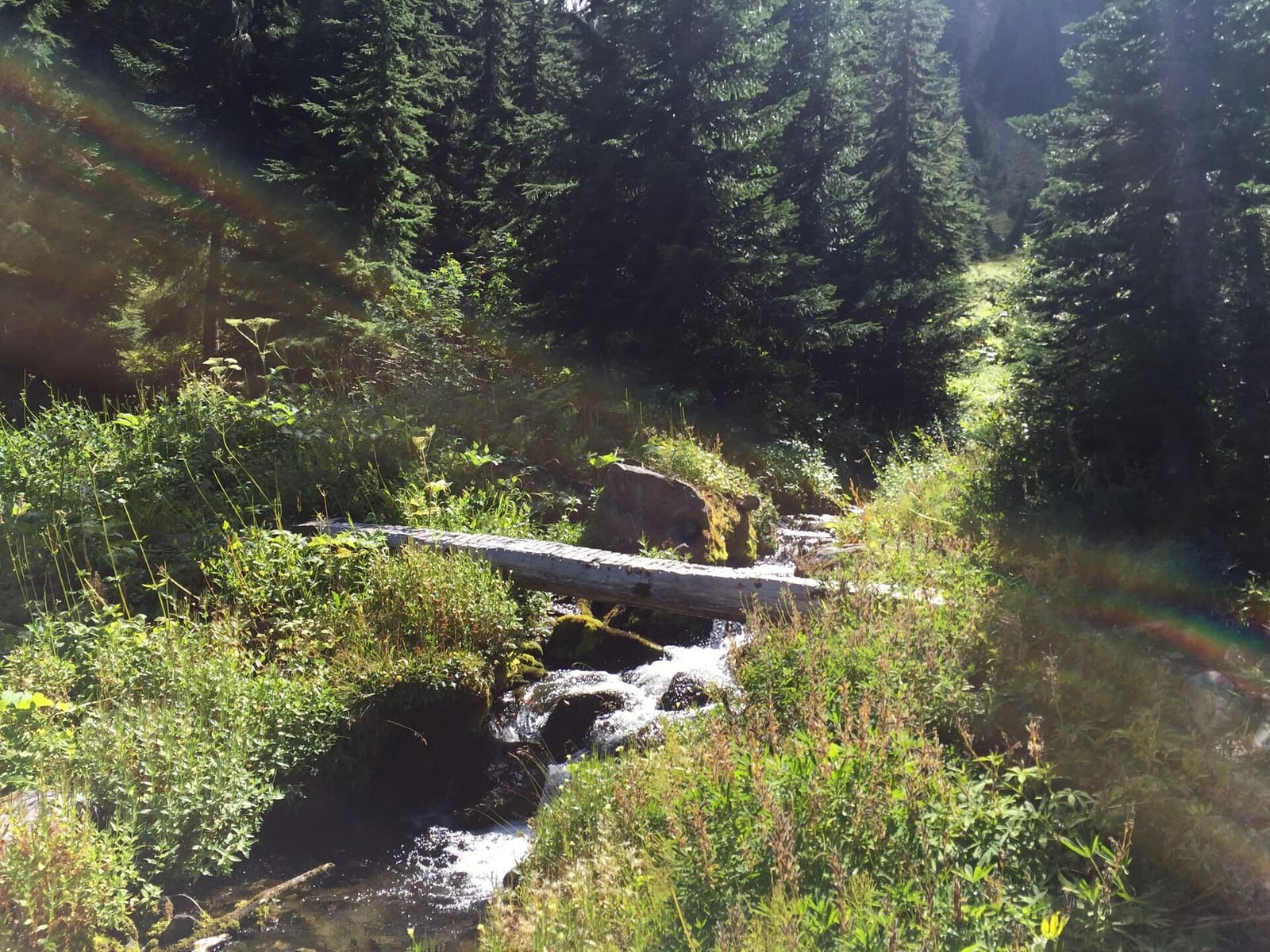 Olympic Peninsula, bank 2, frame 13 of 70