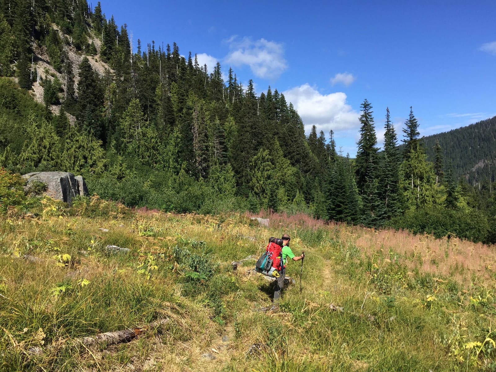 Olympic Peninsula, bank 2, frame 18 of 70