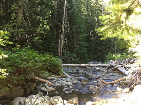 Olympic Peninsula, bank 2, frame 19 of 70