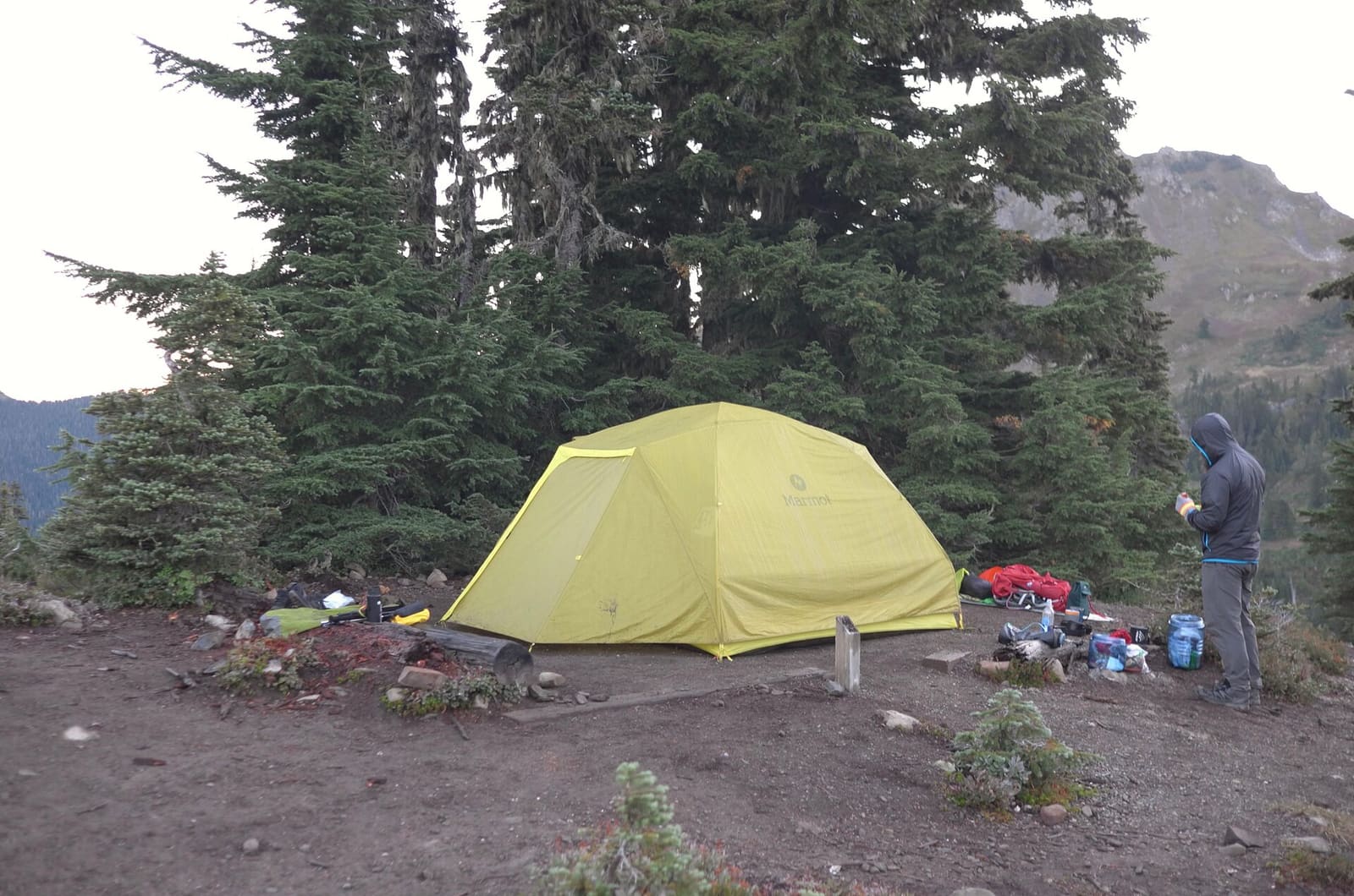 Olympic Peninsula, bank 2, frame 21 of 70