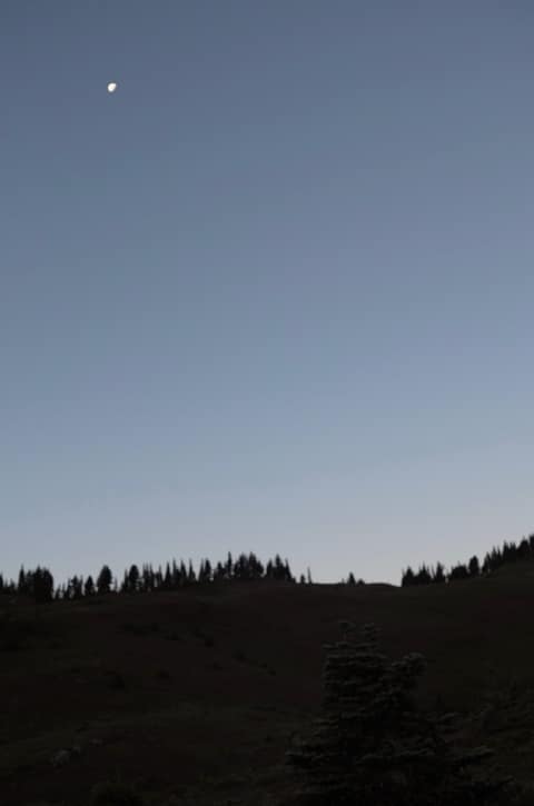 Olympic Peninsula, bank 2, frame 22 of 70