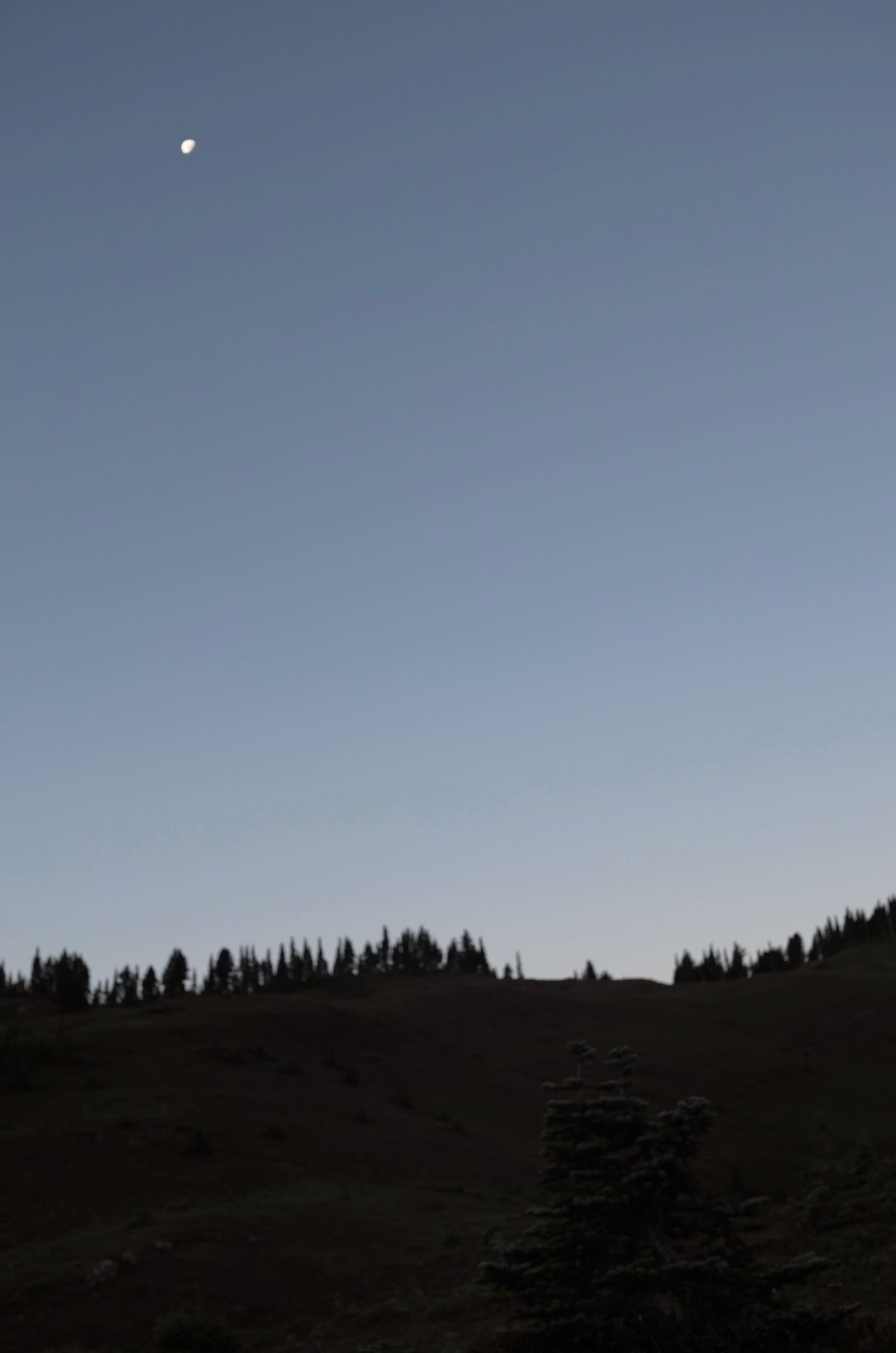 Olympic Peninsula, bank 2, frame 22 of 70