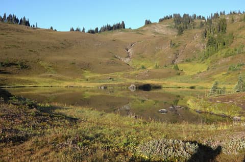 Olympic Peninsula, bank 2, frame 23 of 70