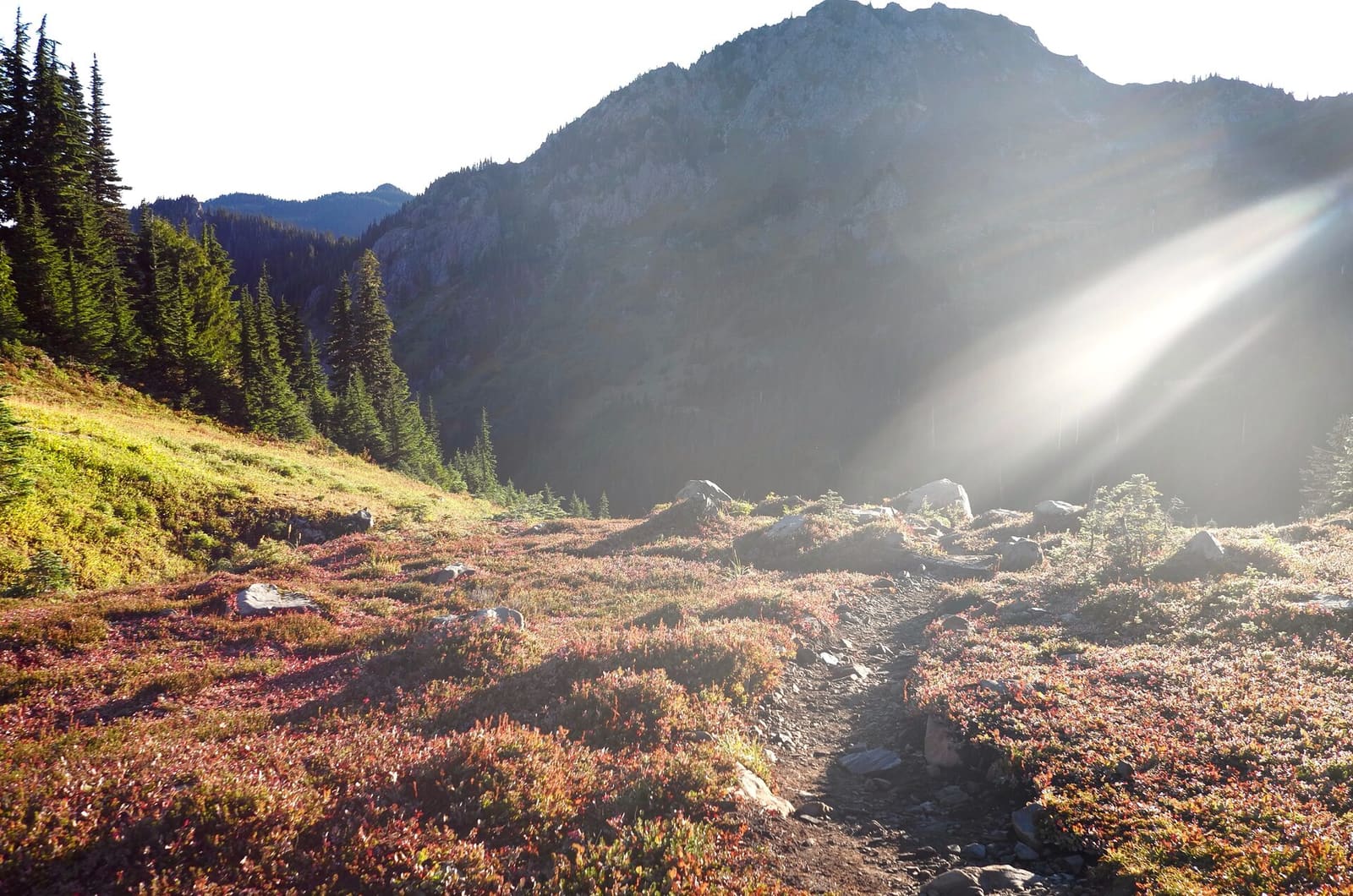 Olympic Peninsula, bank 2, frame 24 of 70