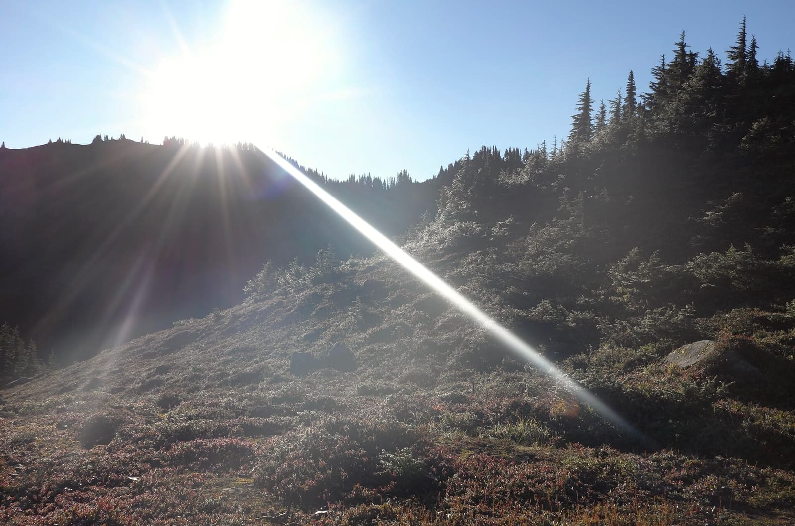 Olympic Peninsula, bank 2, frame 25 of 70