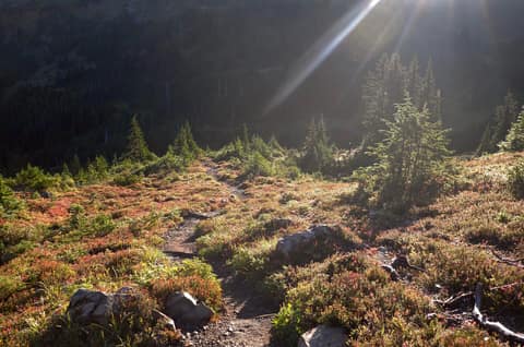 Olympic Peninsula, bank 2, frame 26 of 70