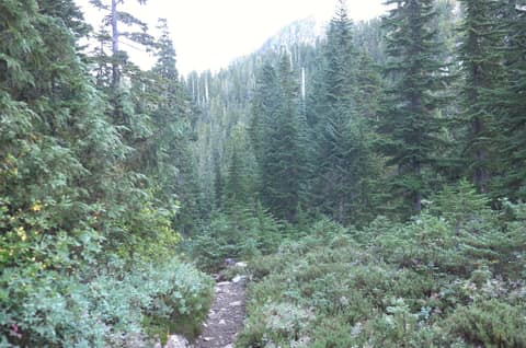 Olympic Peninsula, bank 2, frame 27 of 70
